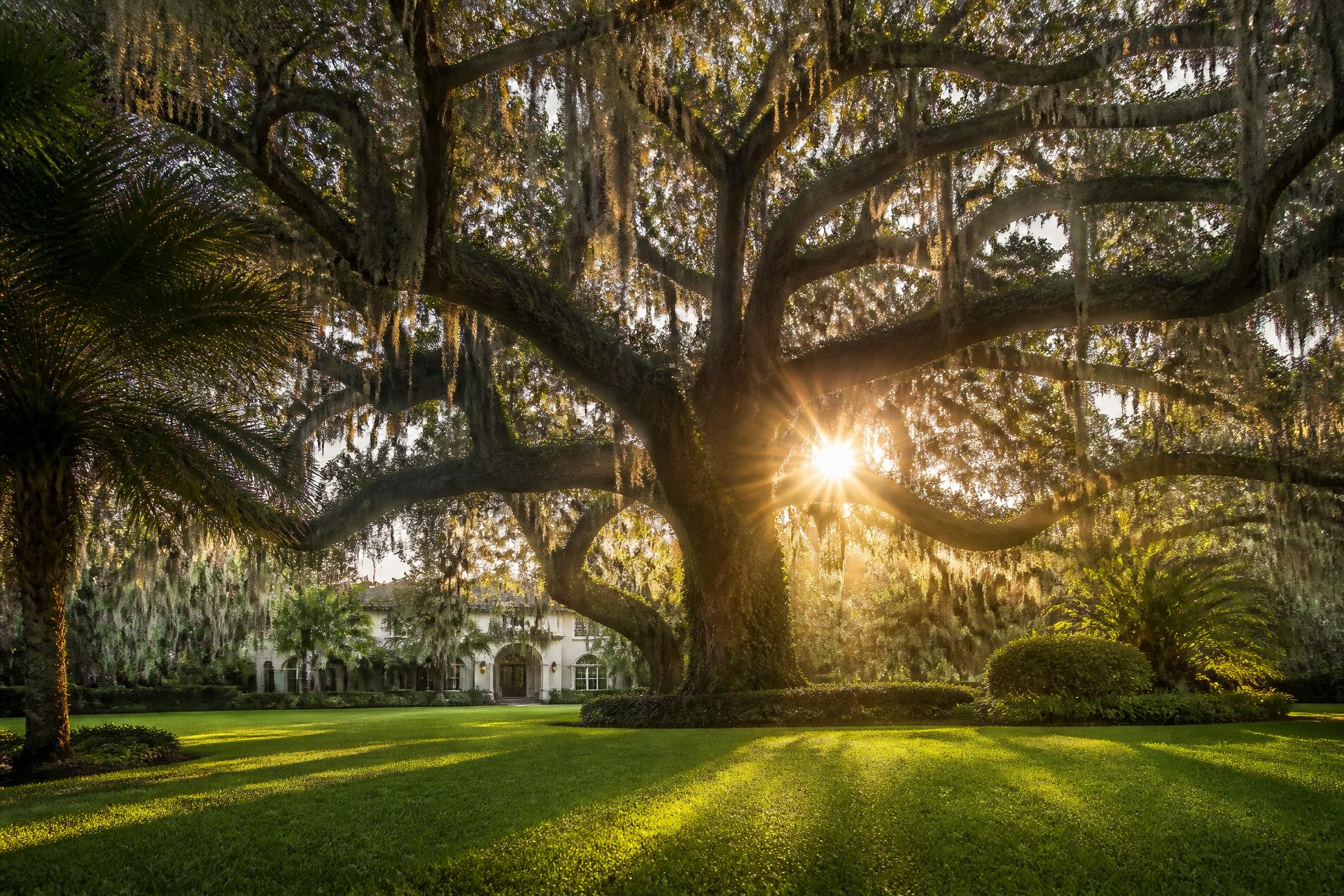 Florida residential landscape at golden hour